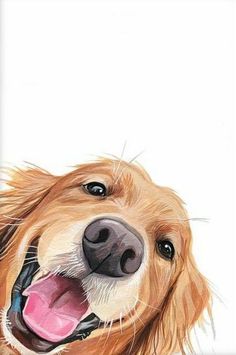 a painting of a golden retriever dog with its tongue out