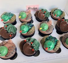 twelve cupcakes decorated with green frosting and brown icing in the shape of birds