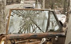 an old rusted out car in the woods with broken glass on it's hood