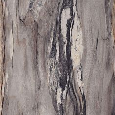 a close up view of the bark on a tree