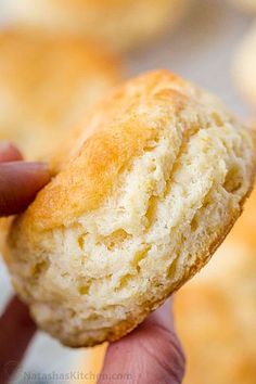 a person holding a biscuit in their hand