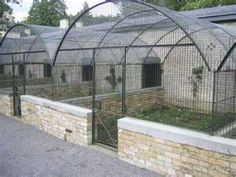 an outdoor garden with many plants growing in it