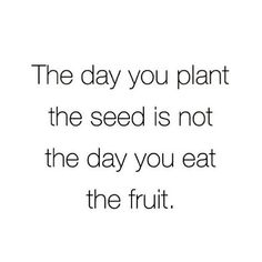 the day you plant the seed is not the day you eat the fruit