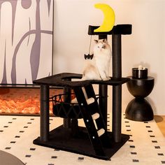 a white cat sitting on top of a black table next to a yellow crescent moon