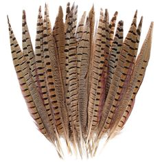 PRICES MAY VARY. ❤️Cruelty-Free Feathers: All pheasant feathers are 100% natural, undyed and all the pheasant tails feather lost naturally. No plucking is required and no pheasant has been harmed. iHUFeather has been focusing on feathers for 10 years. All our feather items have been professionally cleaned, steamed and sanitized to ensure odorless and safe for use. ❤️Multiple Sizes: There are different sizes for you to choose. Sizes are divided into 6-8 inch, 8-10 inch, 10-12 inch, 12-14 inch, 14 Wedding Party Centerpieces, Home Wedding Party, Pheasant Feather, Rooster Feathers, Pheasant Feathers, Diy Hat, Crafts Home, Tail Feathers, Craft Wedding