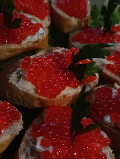 several pieces of bread with red jelly on them and green leafy garnish