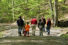 a group of people walking down a path in the woods