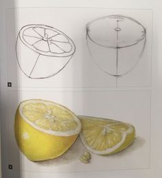 an open book with drawings of lemons on it