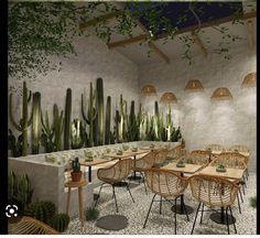 an outdoor dining area with tables, chairs and cactus plants on the wall behind them