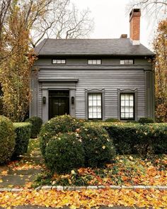 a gray house surrounded by trees and leaves on the ground in front of some bushes