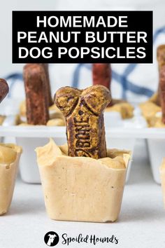 homemade peanut butter dog popsicles with the title overlay