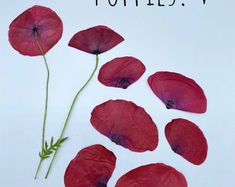 red flowers are arranged in the shape of hearts on a white background with words written below