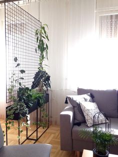 a living room filled with furniture and lots of plants