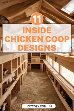 inside chicken coop designs with text overlay that reads, 11 inside chicken coop designs