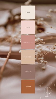 Neutral color palette for small business branding or weddings featuring skin tones, nude, blush colors, copper, chocolate brown, tan, dark blush pink, light blush, and cream. Skin Tone Colour Palette, Dark Blush Pink, Brand Colour Palette, Dark Blush, Nude Palette, Premium Colors, Brand Kit, Colour Palettes