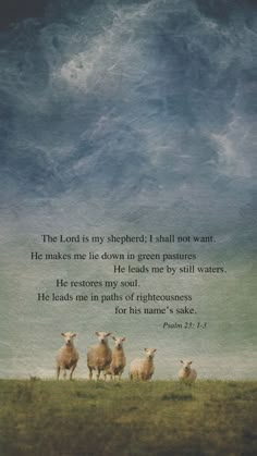 the lord is my shepherd i shall not want he makes me lie down in green pastures