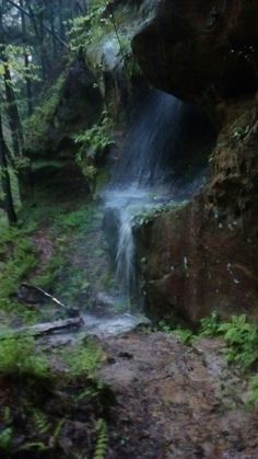 a small waterfall in the middle of a forest