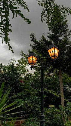 two street lamps sitting next to each other in the middle of a park with lots of trees