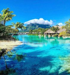 the water is blue and clear with palm trees