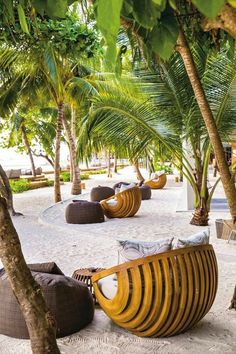 an outdoor seating area with palm trees and bean bags