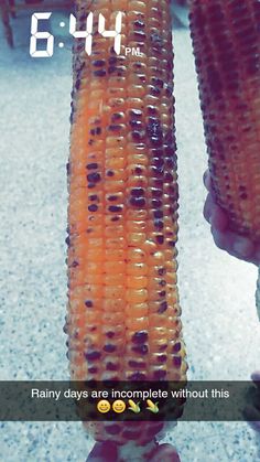 a person holding an ear of corn on the cob