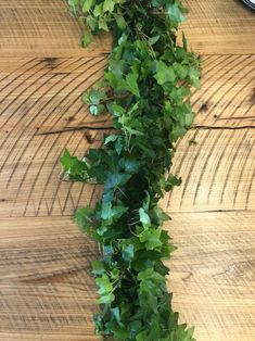 a wooden table topped with lots of green plants on top of it's sides