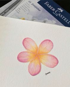 a drawing of a pink flower on top of a piece of paper next to a passport