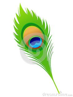 a colorful peacock feather on a white background