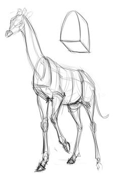 a drawing of a giraffe standing in front of a white background with the shape of a pyramid