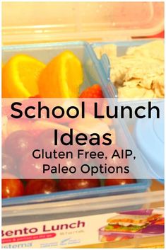 school lunch ideas gluten free, alp paleo options