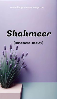 a vase with lavender flowers sitting on top of a white shelf next to a purple wall