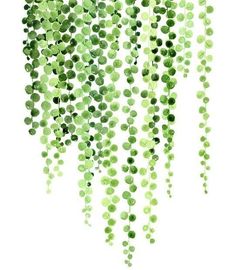 the string of pearls is hanging from the ceiling in front of a white background with green dots