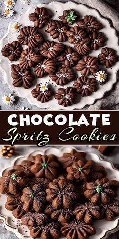 chocolate cookies on a white plate with daisies in the middle and text overlay that reads chocolate swirls cookies