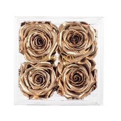 four gold roses in a clear box on a white background with the word love spelled below it