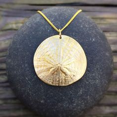 Naturally reconnect to your inner wisdom with Sand Dollar ❤️ Talismans for playfulness, safety and metamorphosis, Sand Dollars evoke a sense of magic in your life! 🍃 Feel the Wonder 🌳 We plant a tree for every piece sold #naturejewelry #inspiredbynature #feelthewonder #followyourheartfindyourtreasure #sanddollar #sanddollars Sand Dollar Shell, Sand Dollar Necklace, Sand Dollars, Plant A Tree, Inner Wisdom, Sand Dollar, Shell Jewelry, Original Jewelry