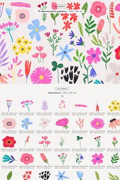 an image of flowers in different colors and sizes