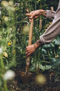 a person holding a shovel in the middle of a garden with flowers and plants around them