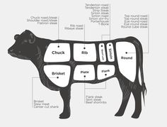 a cow diagram with labels on it and the names of its meats in each section