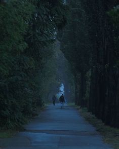 two people are walking down the road in the dark, with trees lining both sides