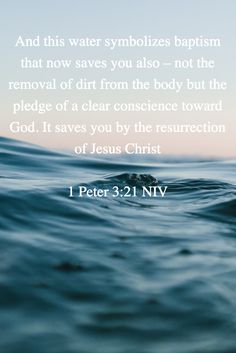 Clean Conscience Quotes, Conscience Quotes, Resurrection Of Jesus Christ, The Resurrection Of Jesus, Clear Conscience, 1 Peter 3, Peter 3, Resurrection Of Jesus, Throne Of Grace