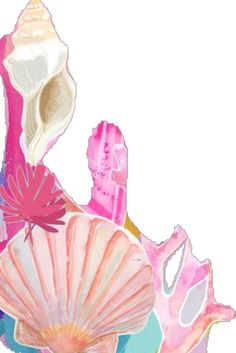 an abstract painting of seashells and pink flowers