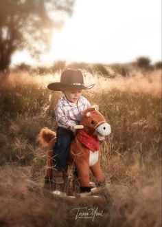 a little boy sitting on top of a toy horse in a field with tall grass