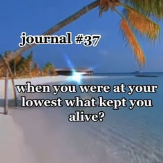 a beach with palm trees and the words journal 377 when you were at your lowest what kept you alive?