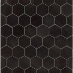 Black hexagon mosaic granite tile. Craftsman Style Baseboards, Black Hexagon Tile, Craftsman Style Doors, Wood Plank Ceiling, Granite Tiles, Absolute Black Granite, Black Mosaic, Penny Tile, Black Tones