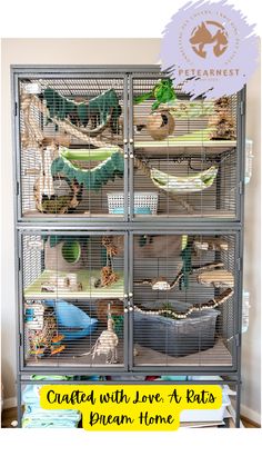 Explore creative rat cage setups for a happy pet rat. Rat Enrichment Ideas, Critter Nation Cage Ideas, Diy Rat Toys