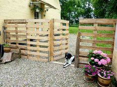 a black and white dog sitting in front of a wooden fence with potted plants