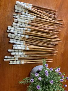 a bunch of sticks sitting on top of a table next to a potted plant