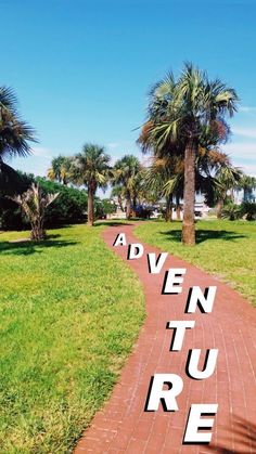 the words adventure written on a brick path in front of palm trees and green grass