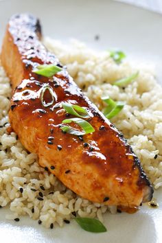 salmon and rice on a white plate with green garnish