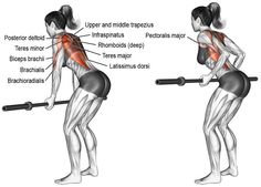 an image of a woman doing exercises with barbells